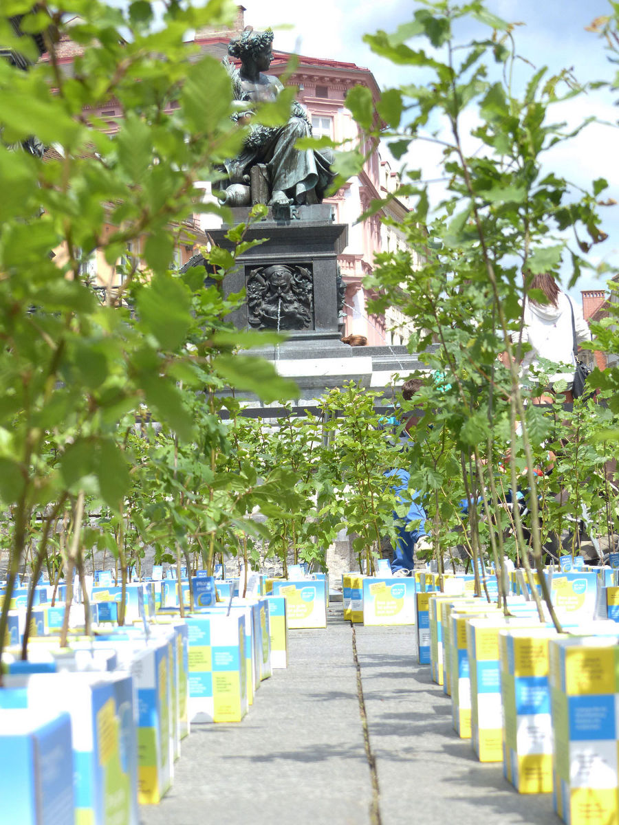 Bald sind sie wirklich höher als der Brunnen am Grazer Hauptplatz...