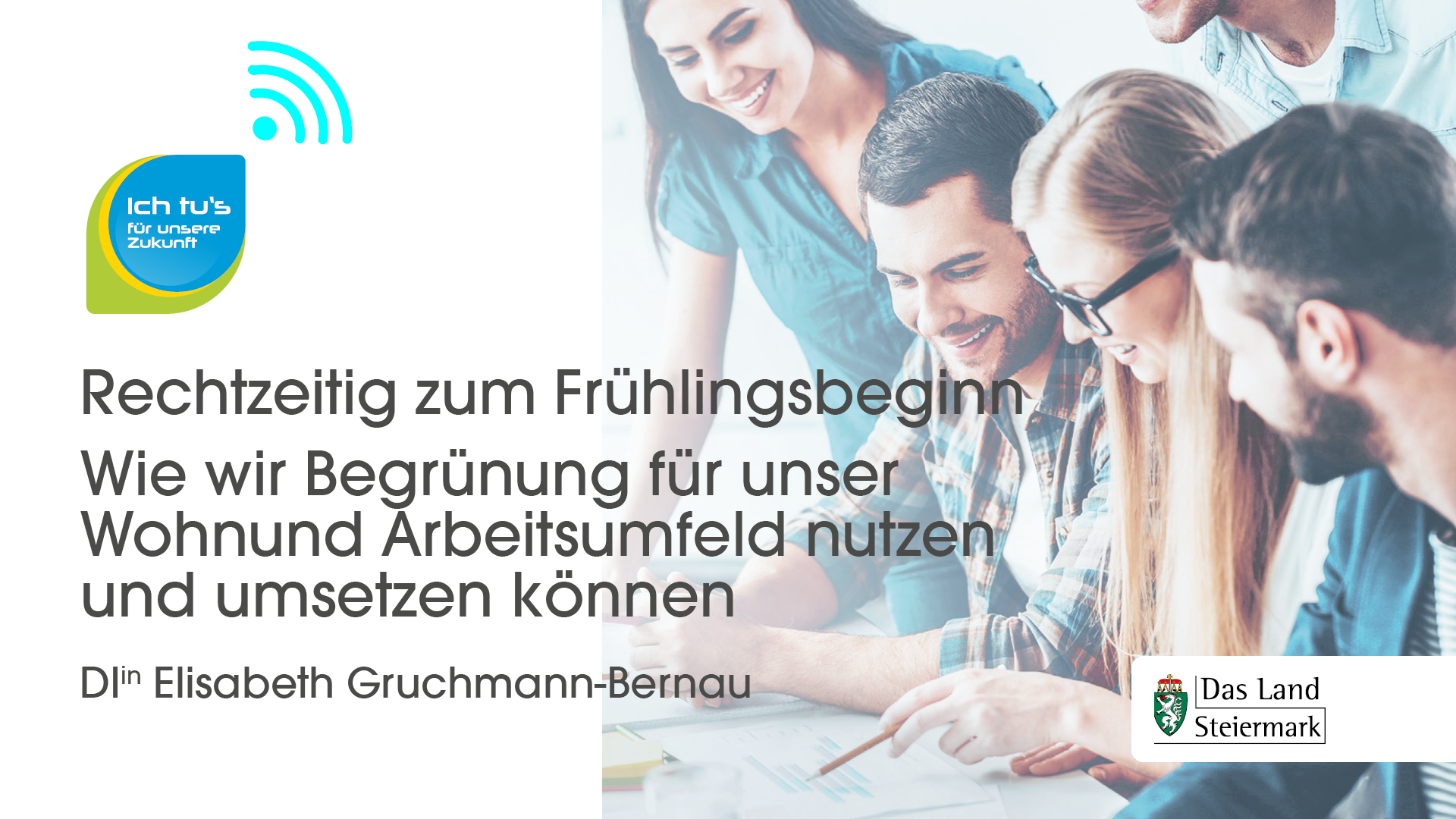 zum Video