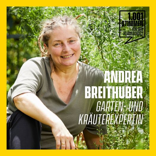 Andrea Breithuber
