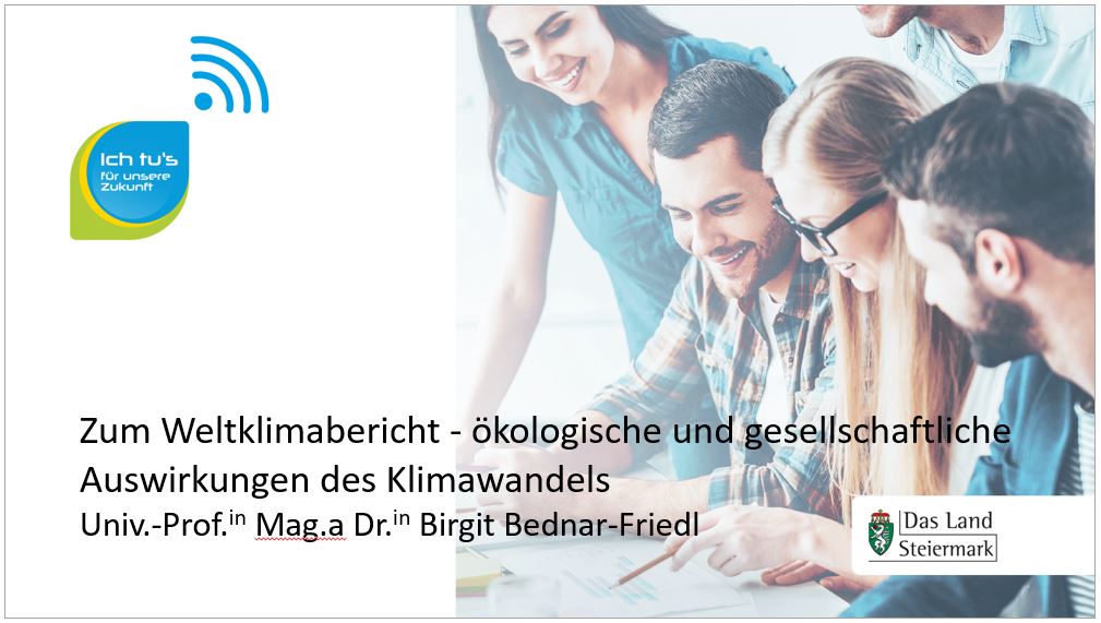 Zum Video
