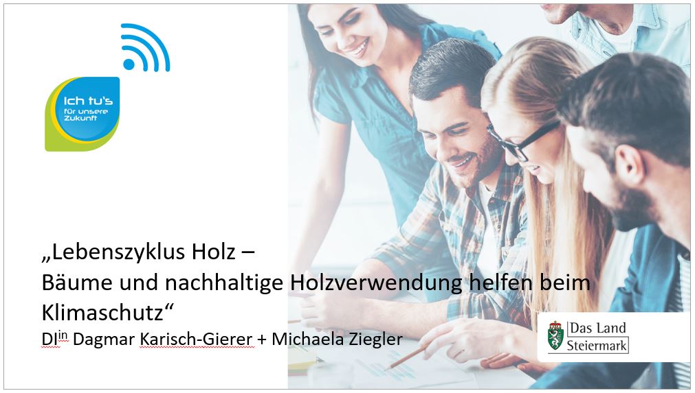 Zum Video
