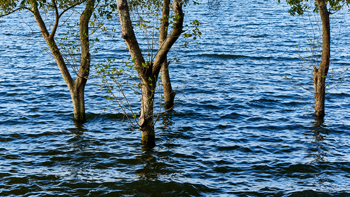 ©Shutterstock